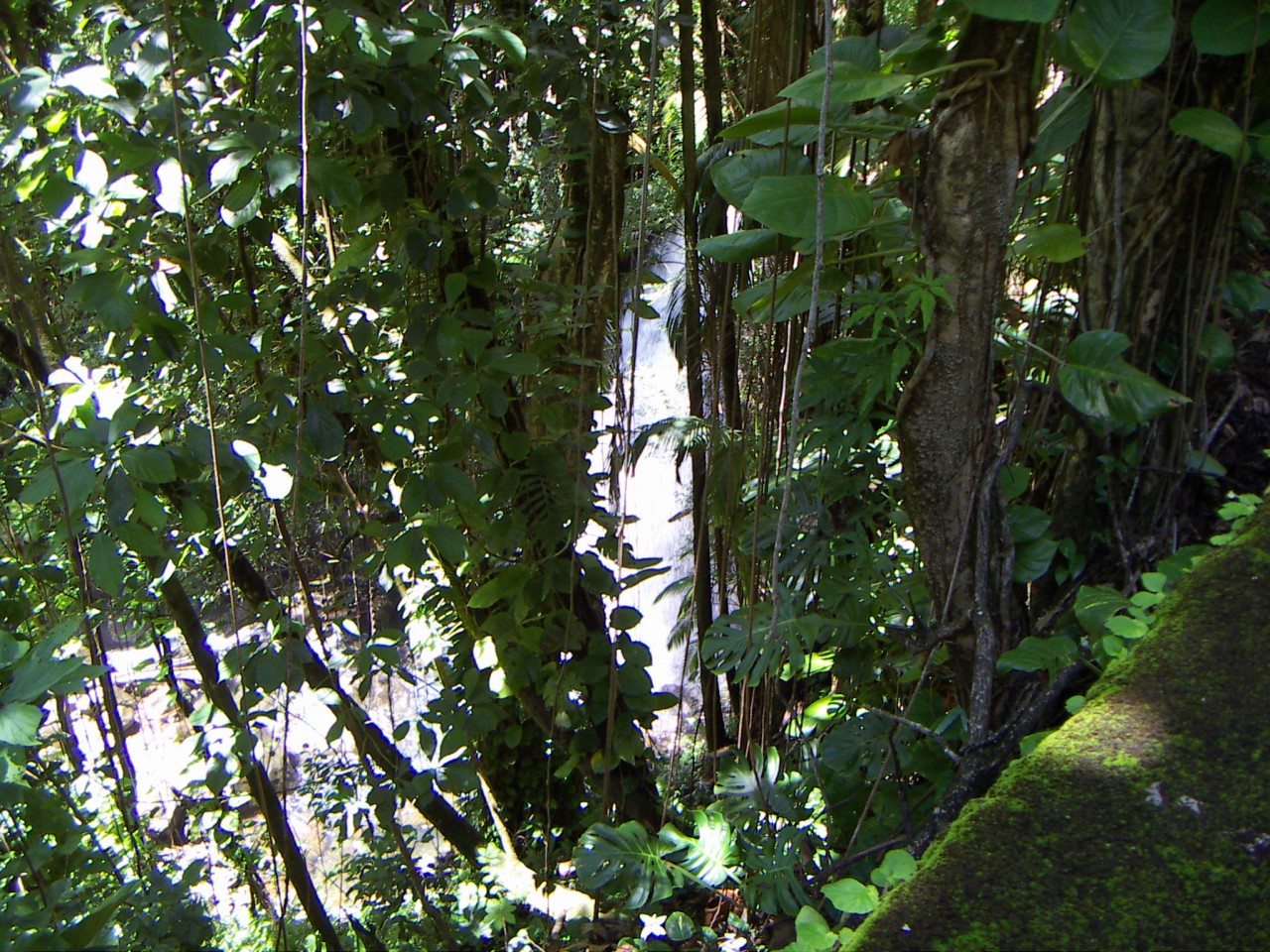 PICT0024.JPG