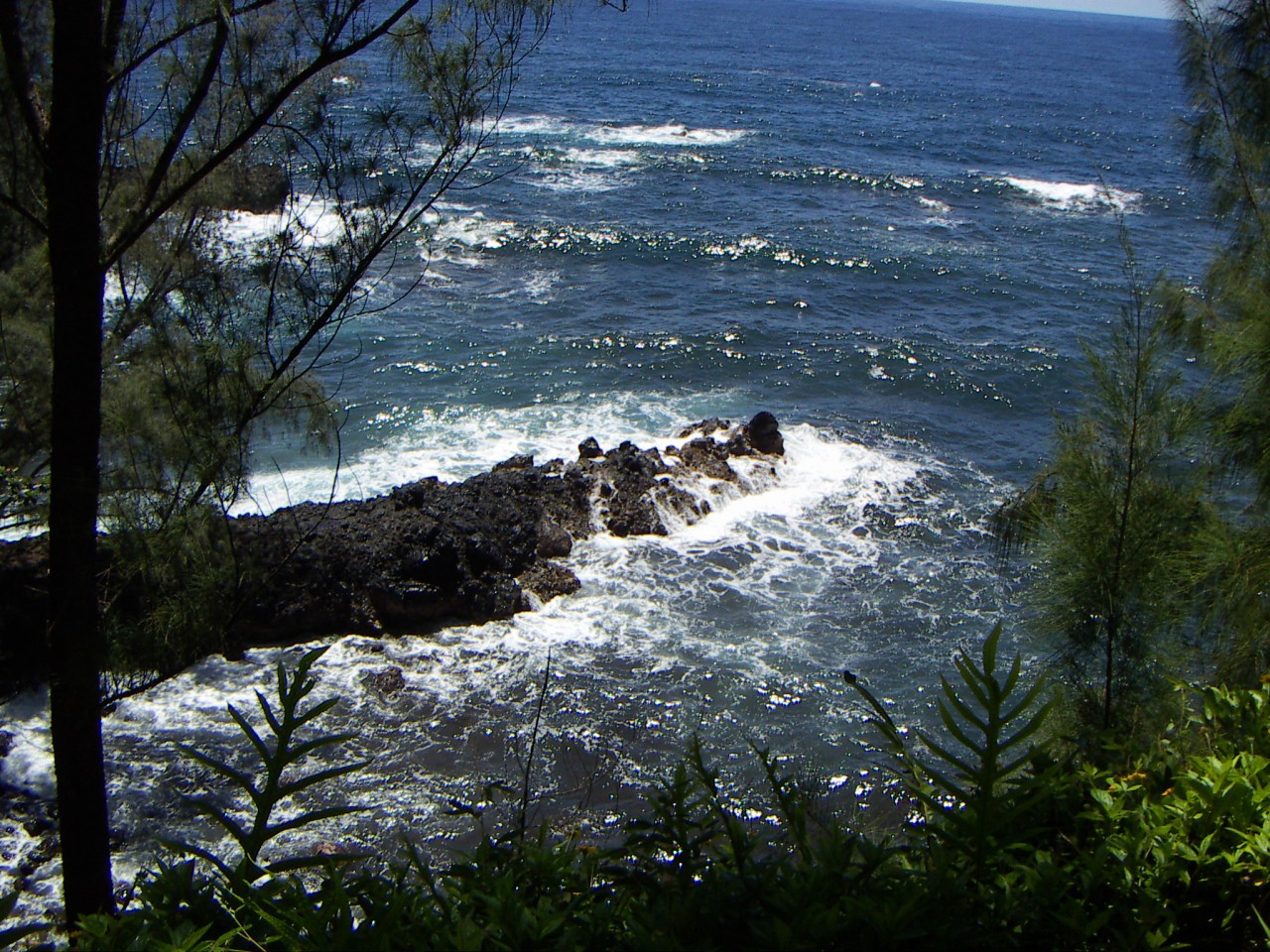 PICT0026.JPG