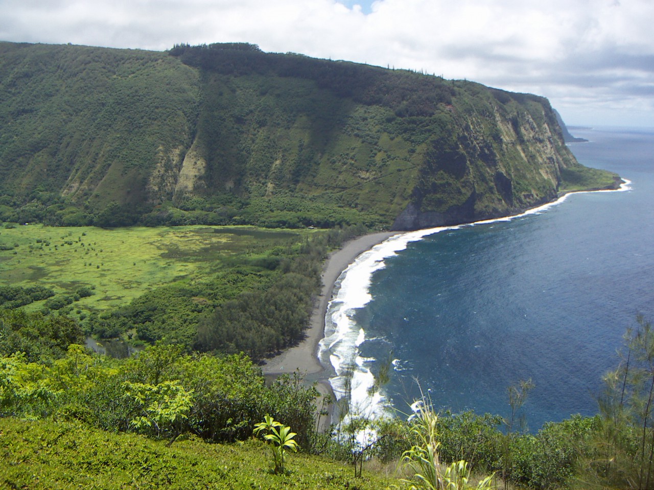 PICT0028.JPG