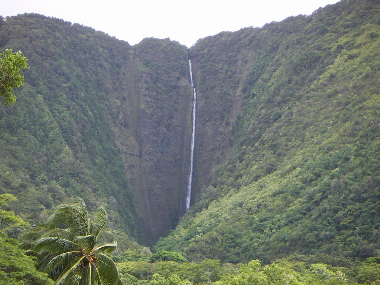 PICT0030.JPG