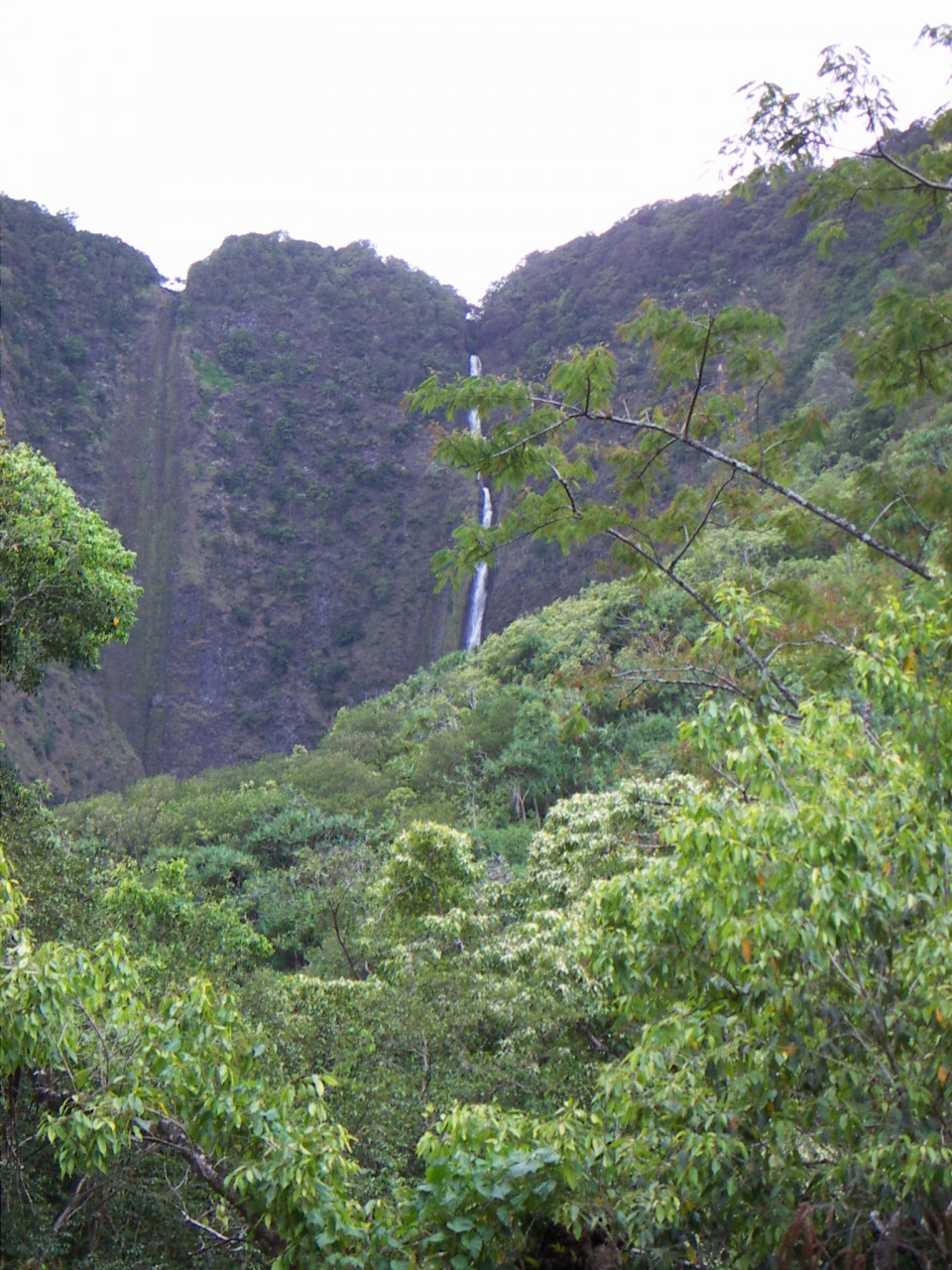 PICT0031.JPG