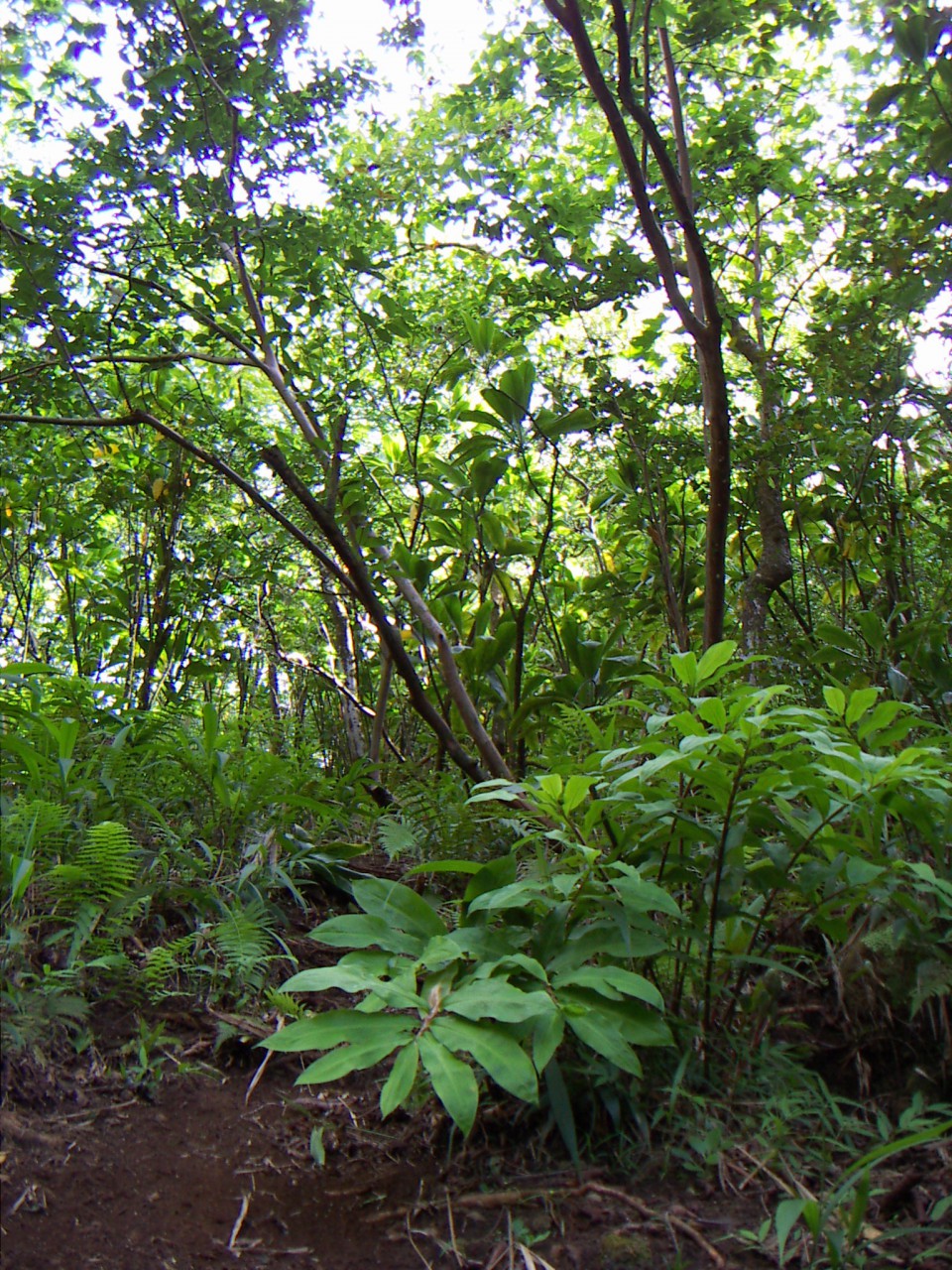 PICT0032.JPG