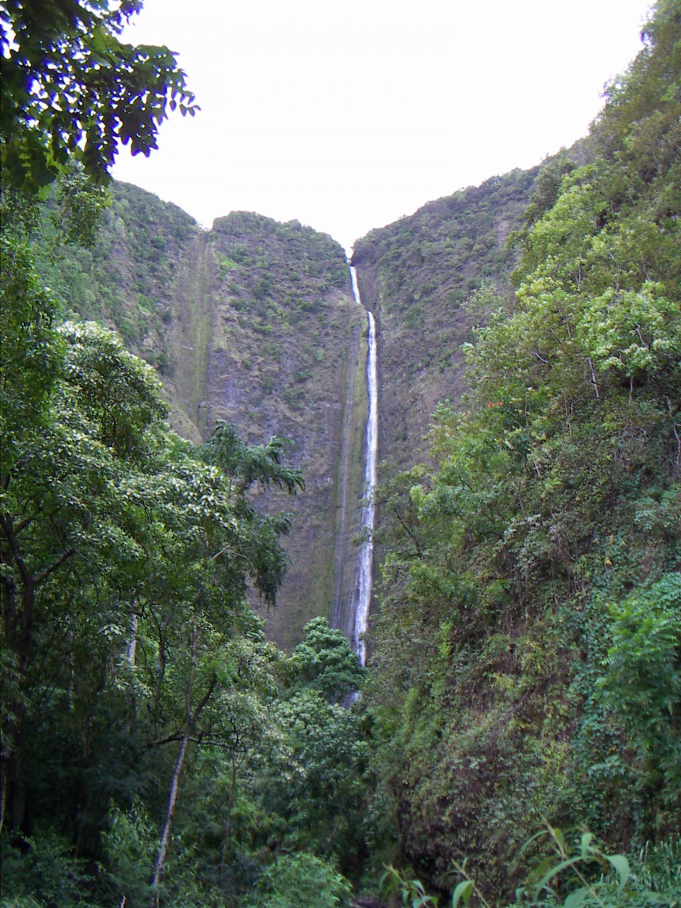 PICT0034.JPG