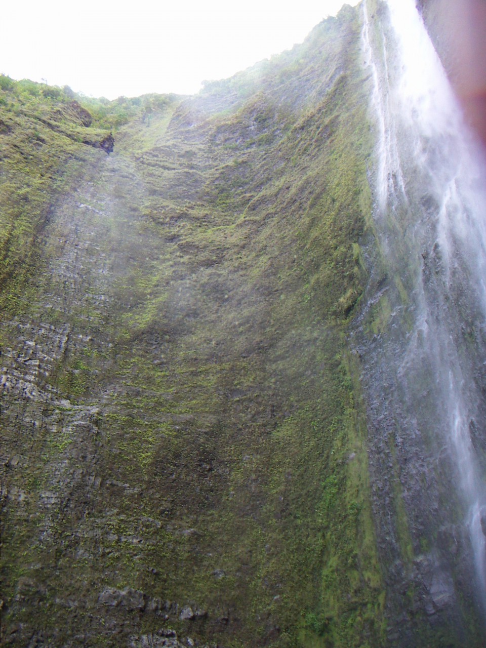 PICT0049.JPG