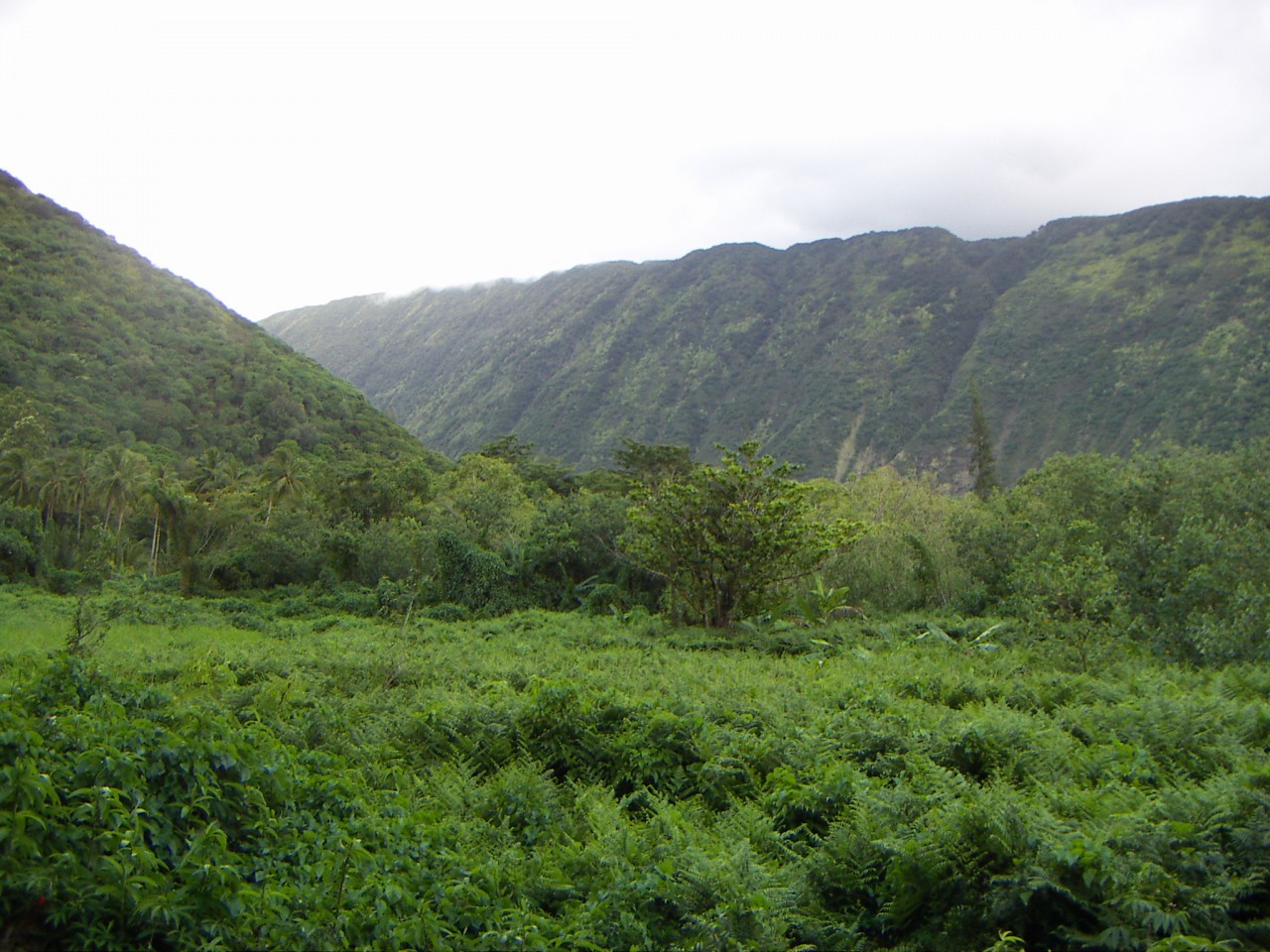 PICT0051.JPG