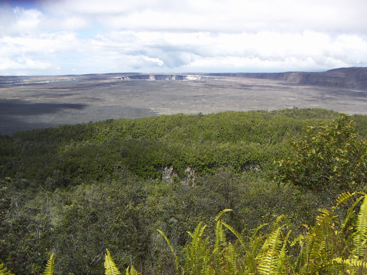 PICT0053.JPG