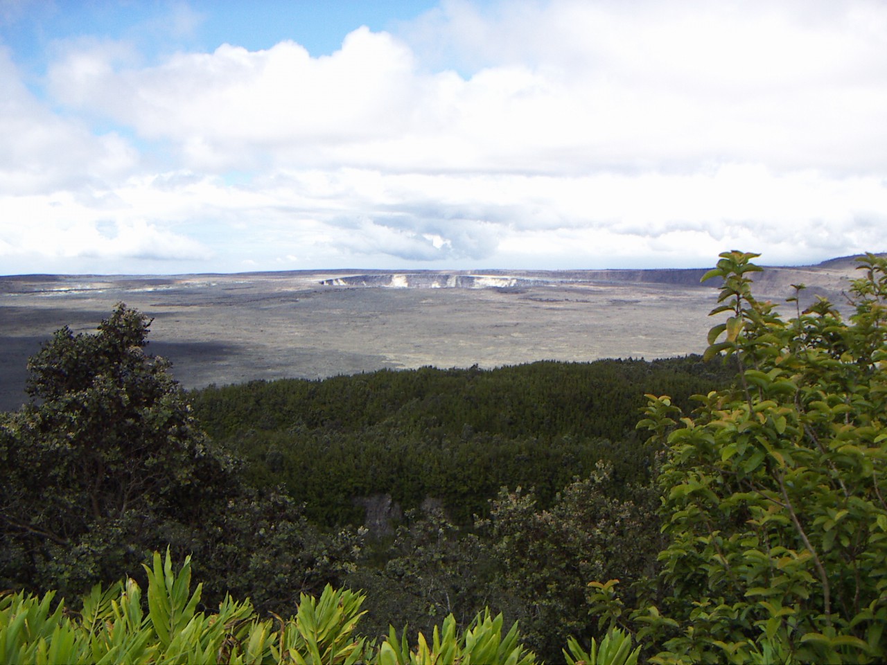 PICT0057.JPG