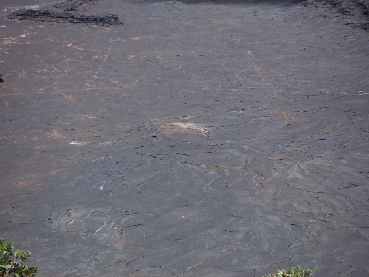 PICT0059.JPG
