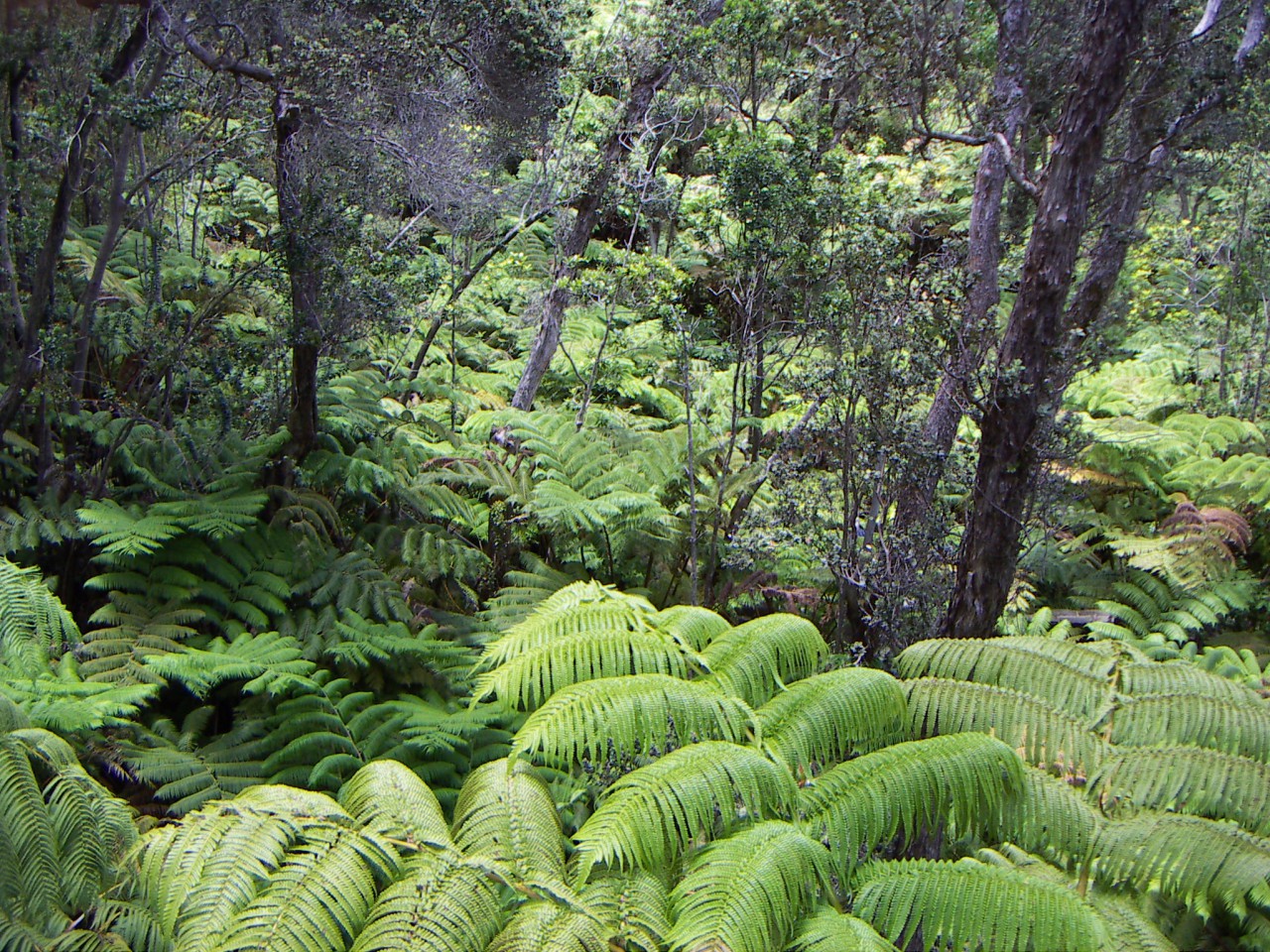 PICT0061.JPG