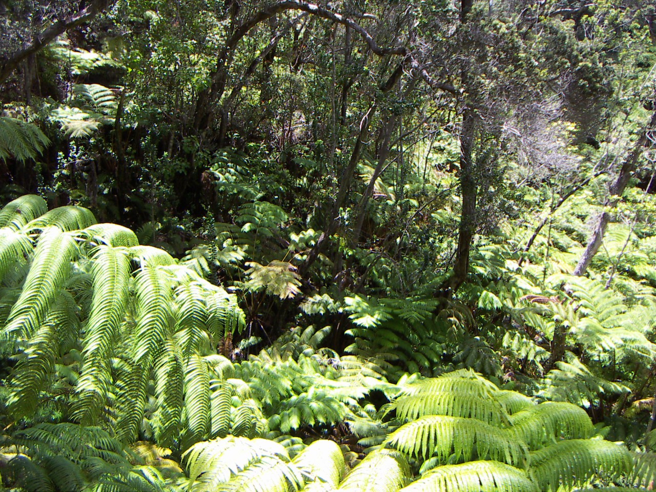 PICT0062.JPG