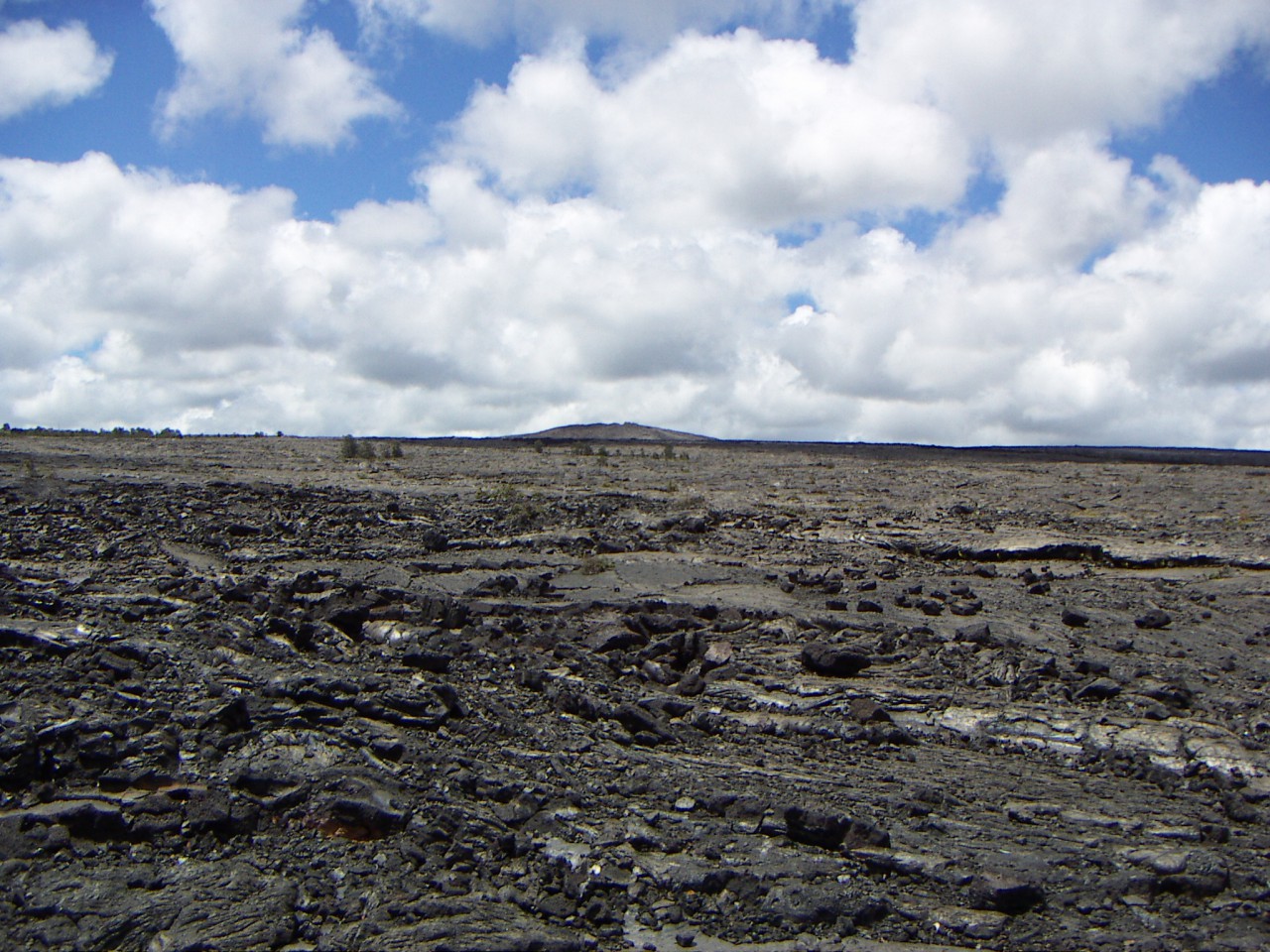 PICT0074.JPG
