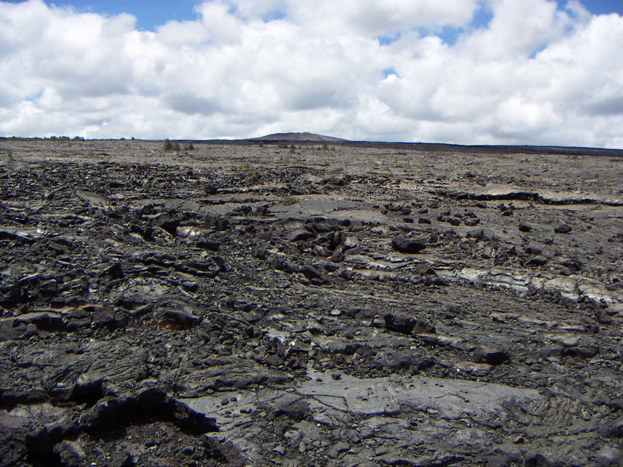 PICT0075.JPG