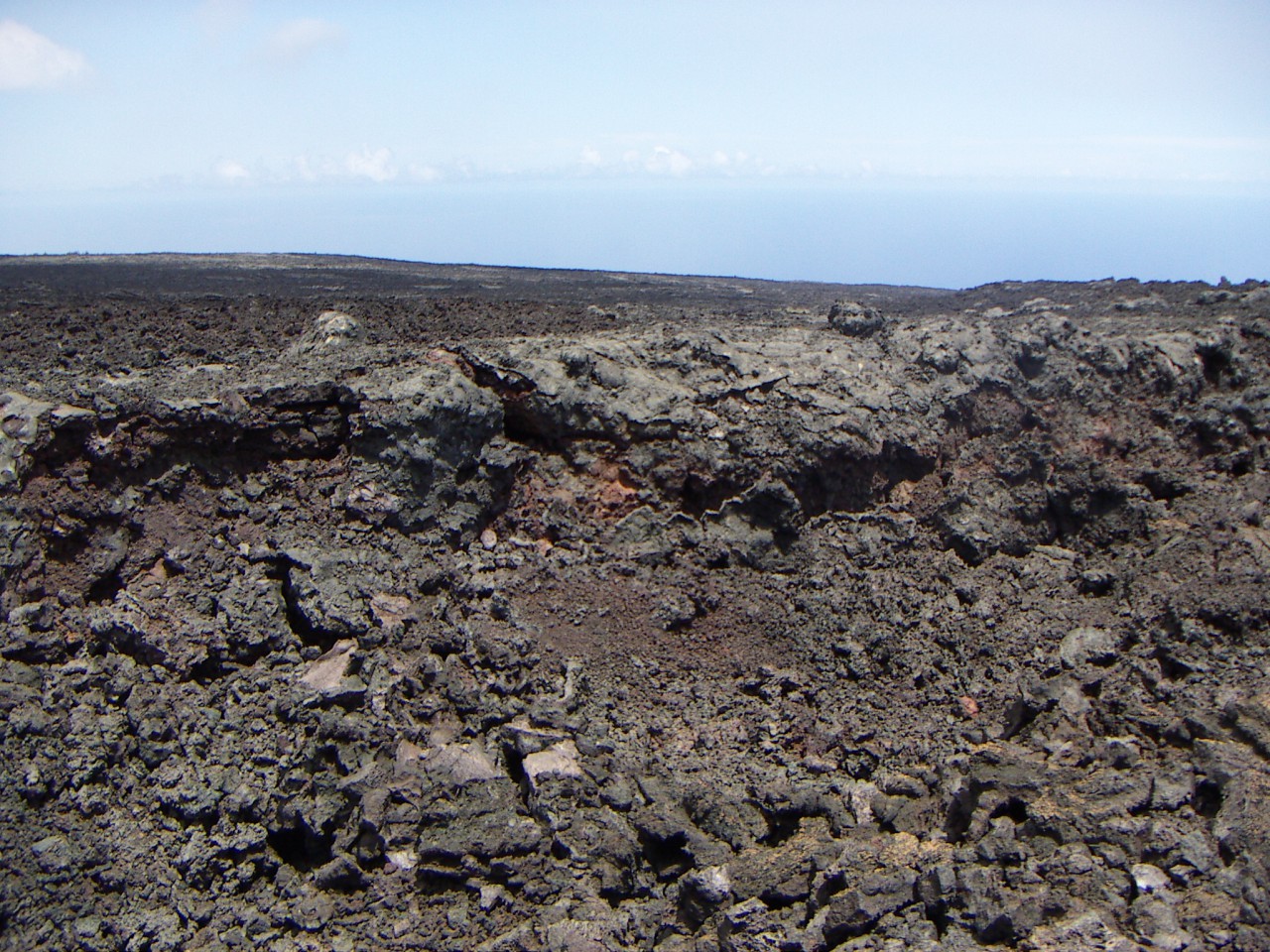 PICT0082.JPG