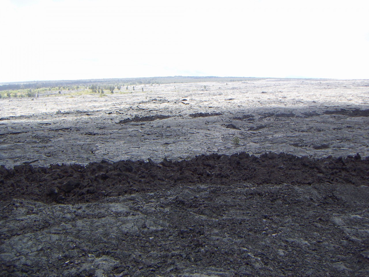 PICT0084.JPG