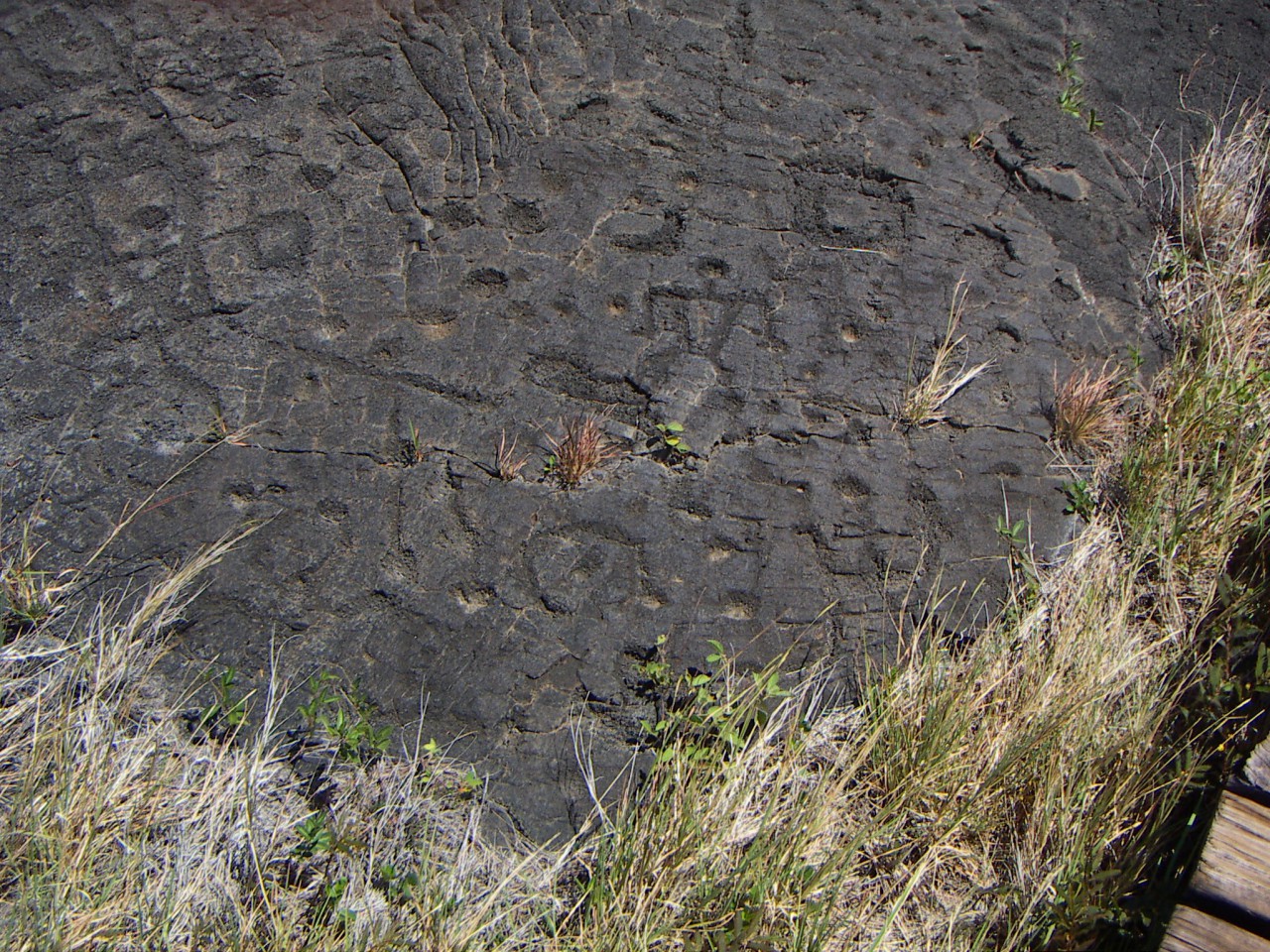 PICT0093.JPG