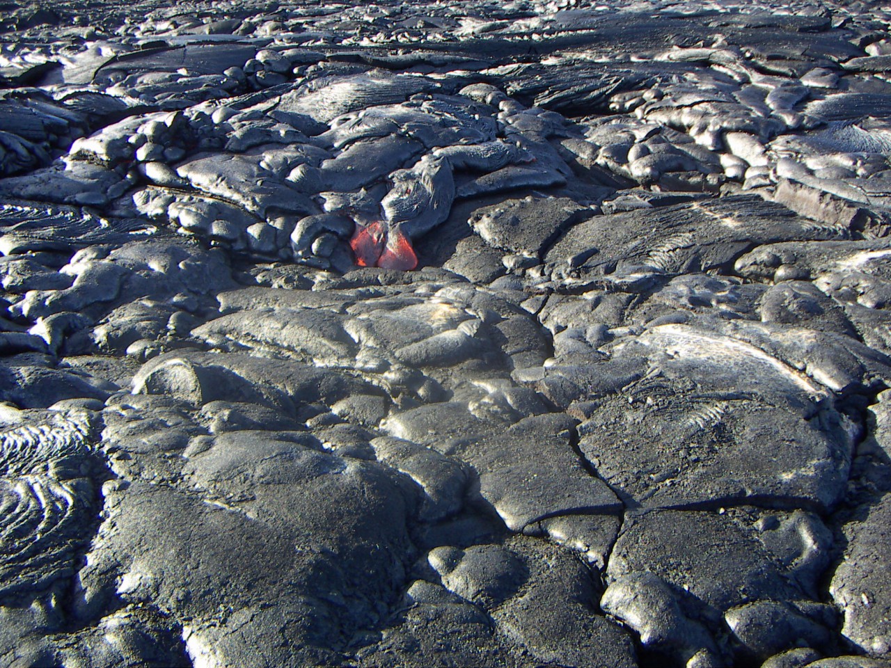 PICT0128.JPG
