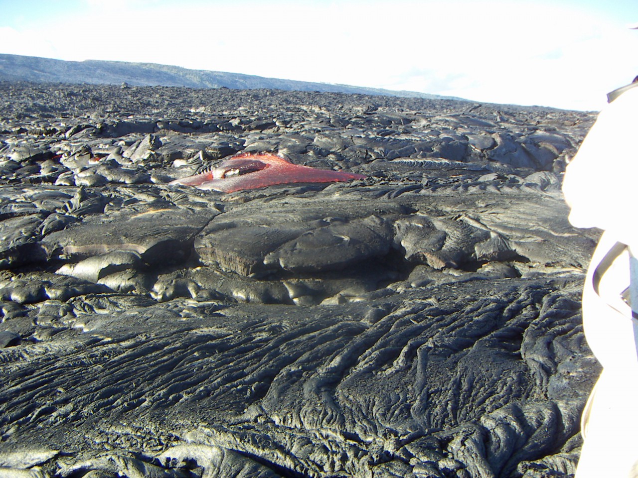 PICT0129.JPG