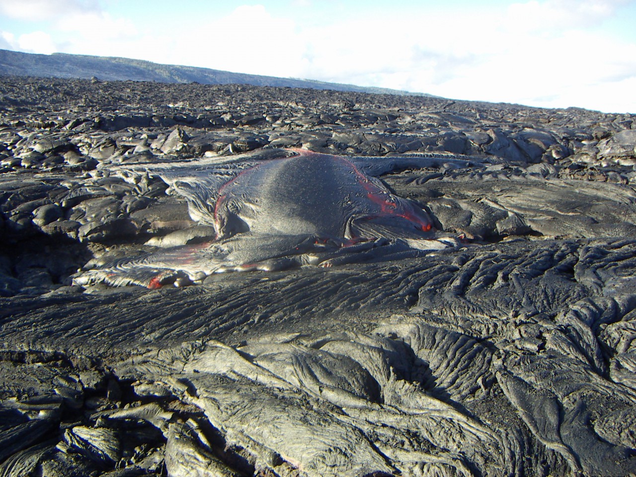 PICT0133.JPG
