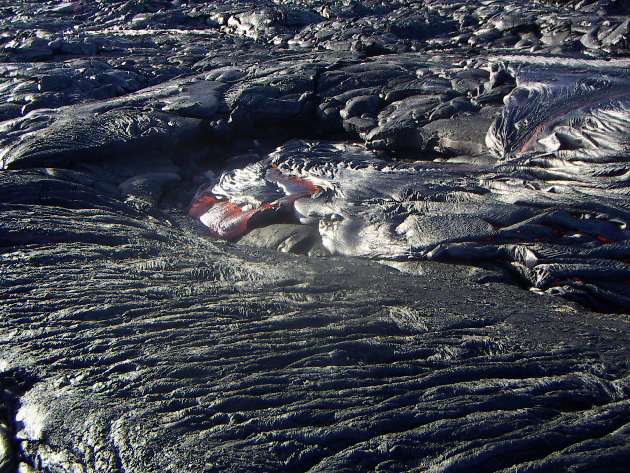 PICT0137.JPG