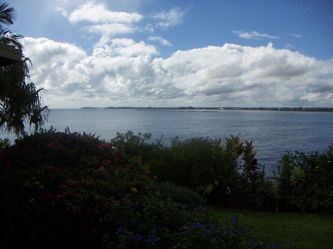 PICT0141.JPG