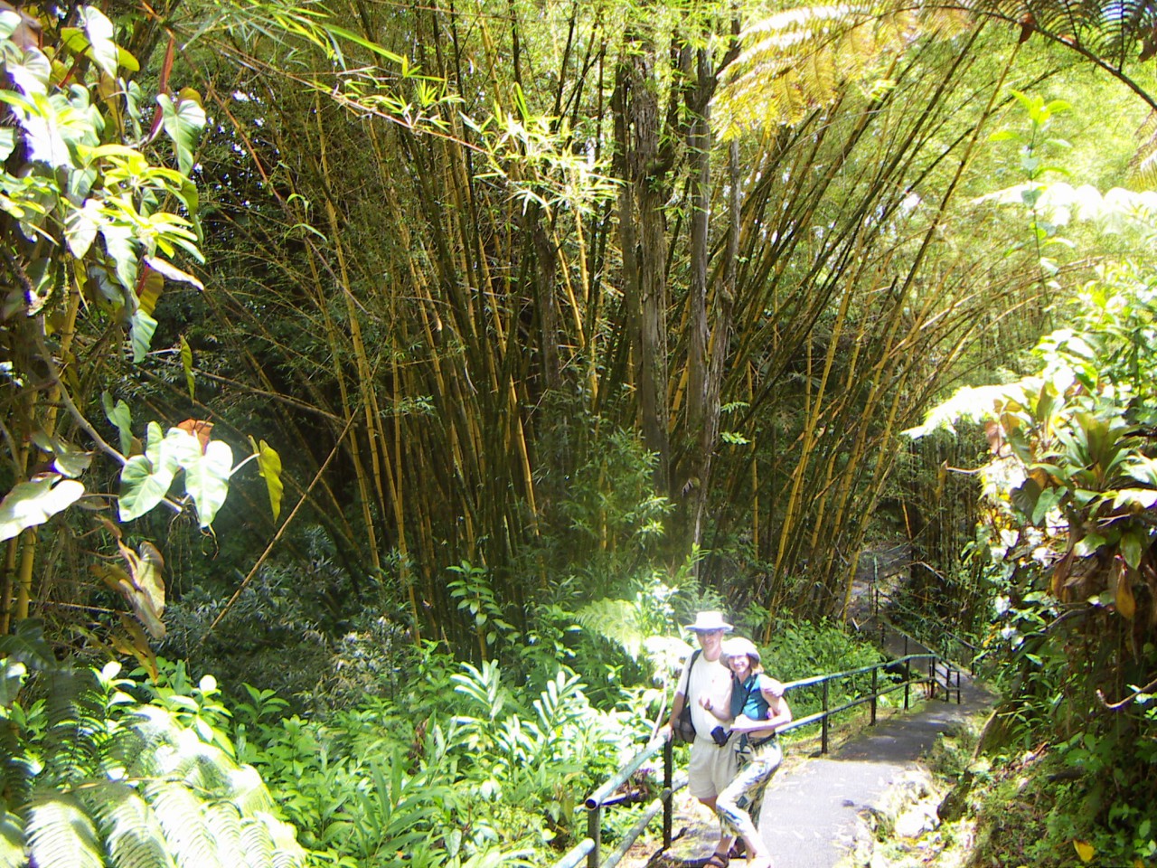 PICT0143.JPG