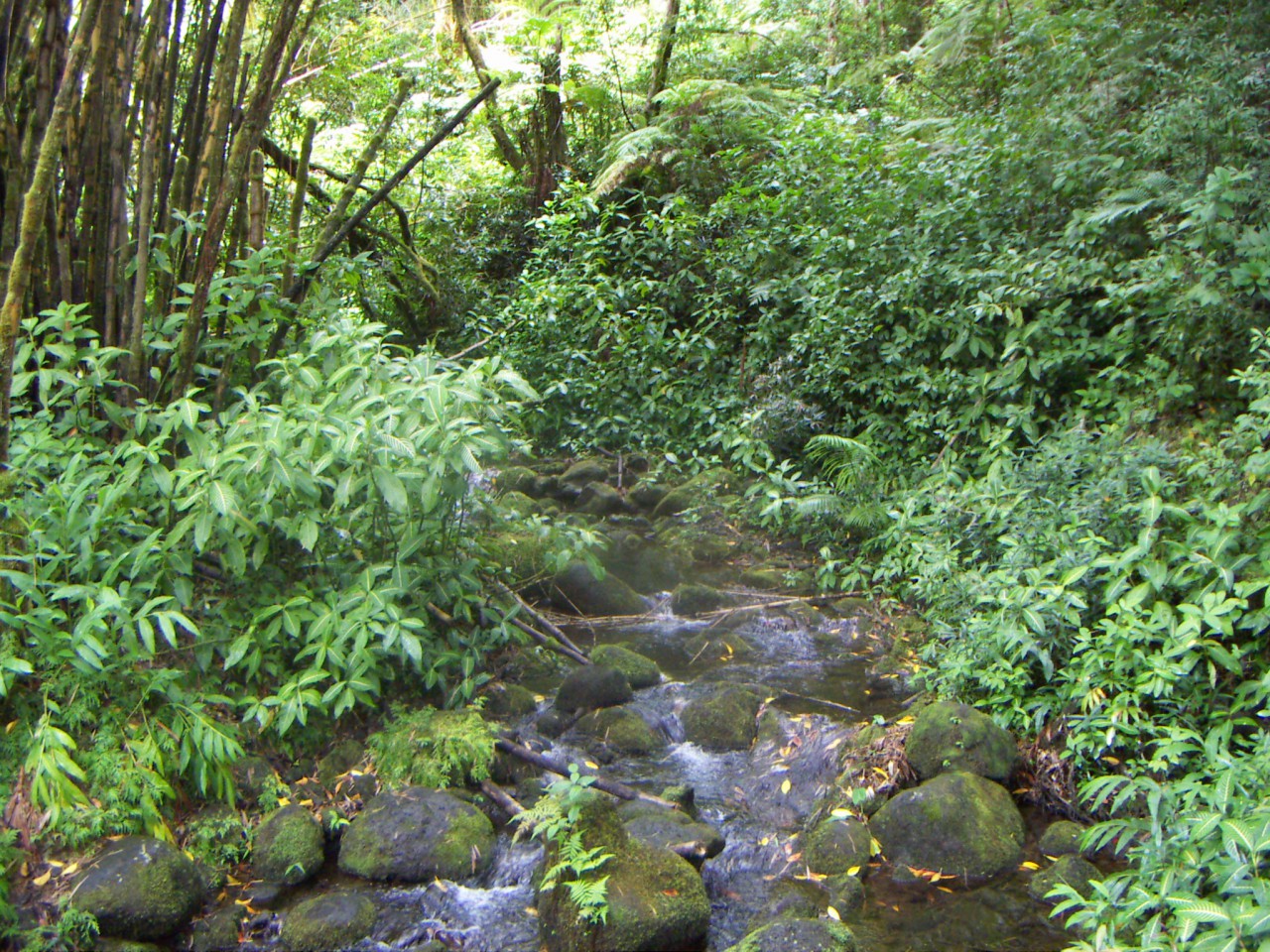 PICT0148.JPG