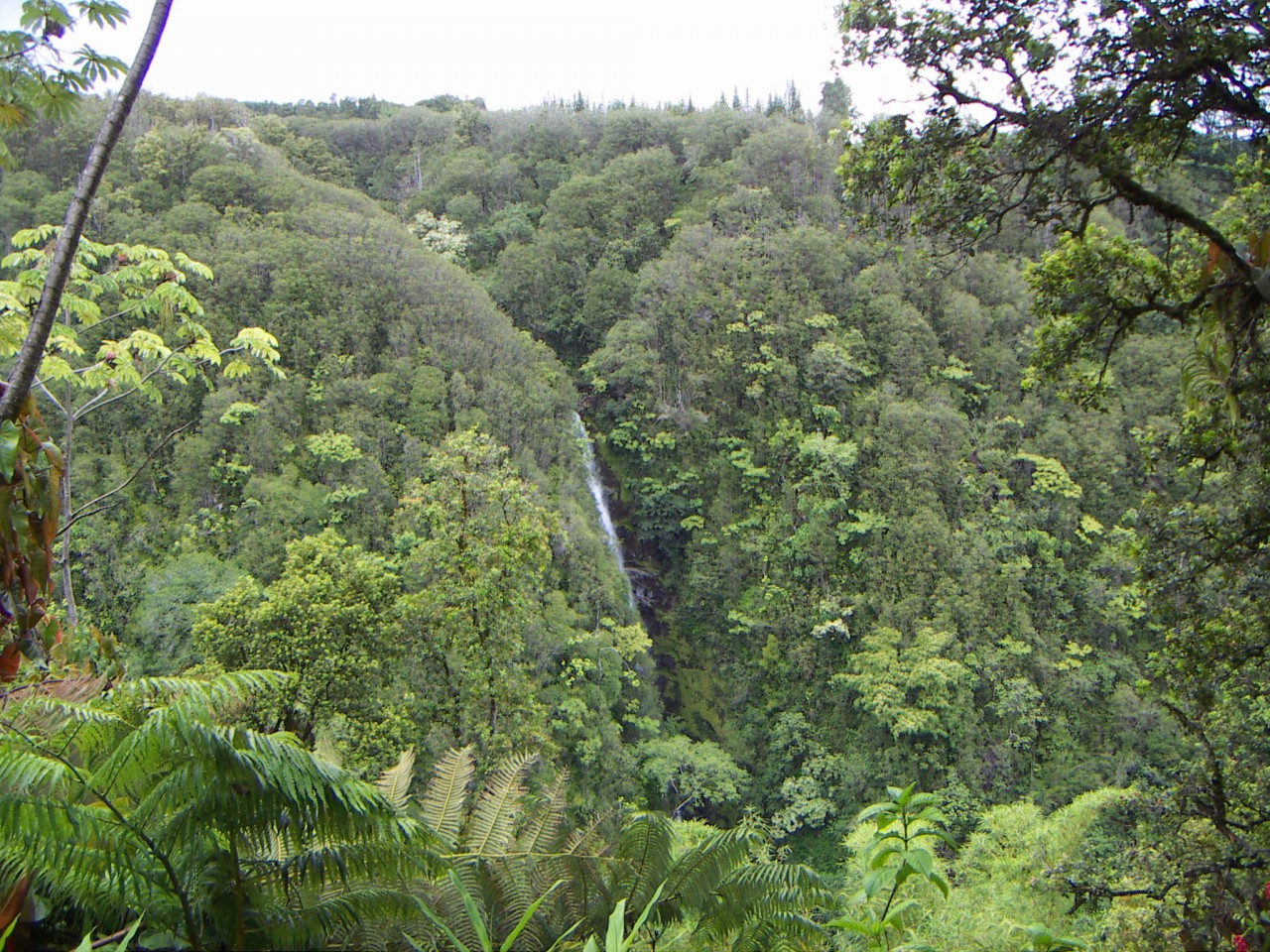 PICT0150.JPG