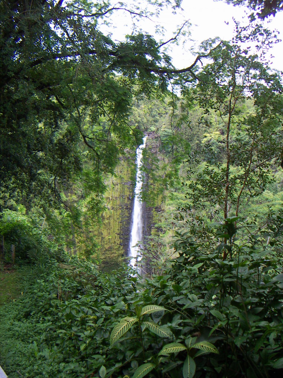 PICT0154.JPG