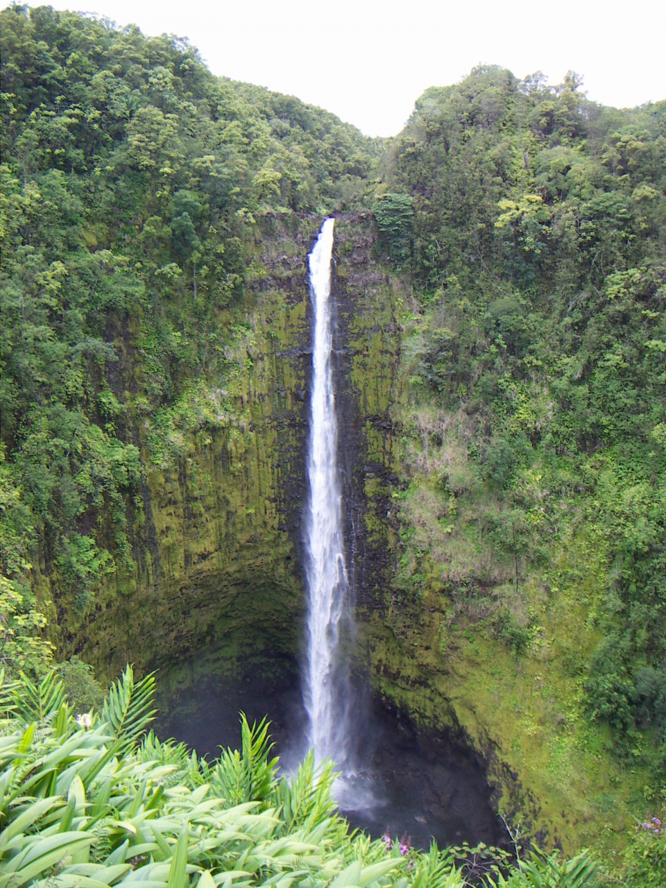 PICT0156.JPG