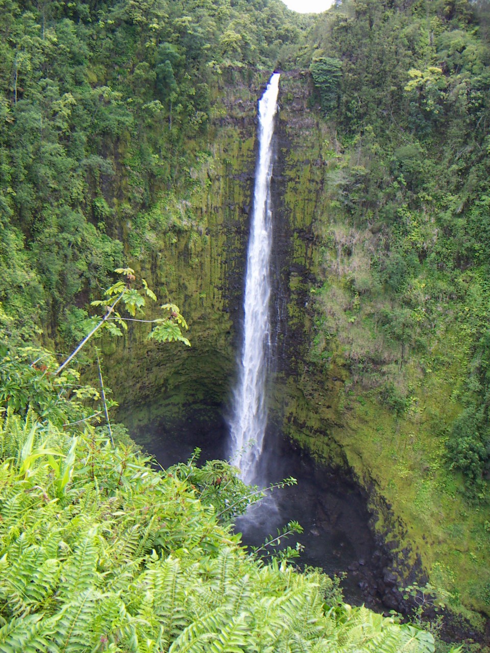 PICT0163.JPG