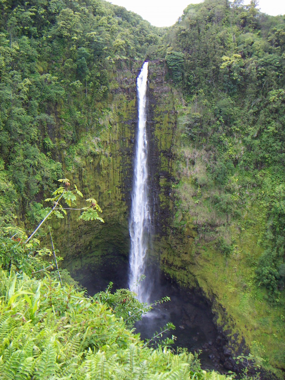 PICT0164.JPG