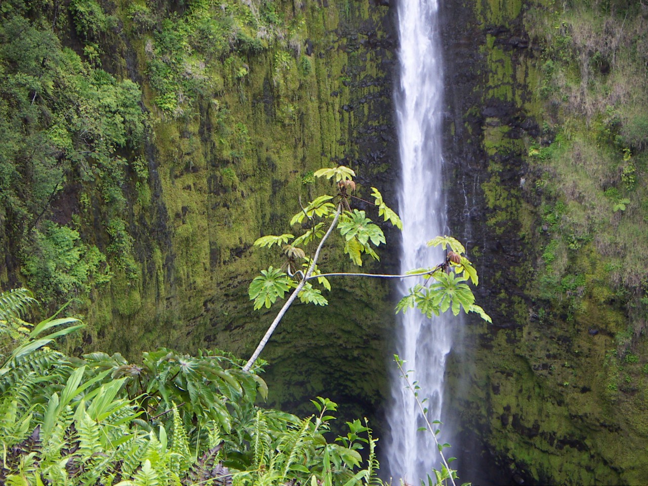 PICT0166.JPG