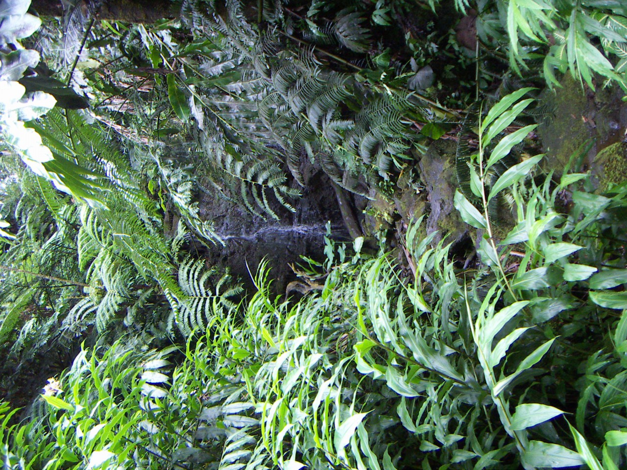 PICT0168.JPG