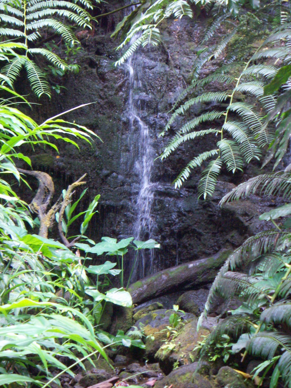 PICT0169.JPG
