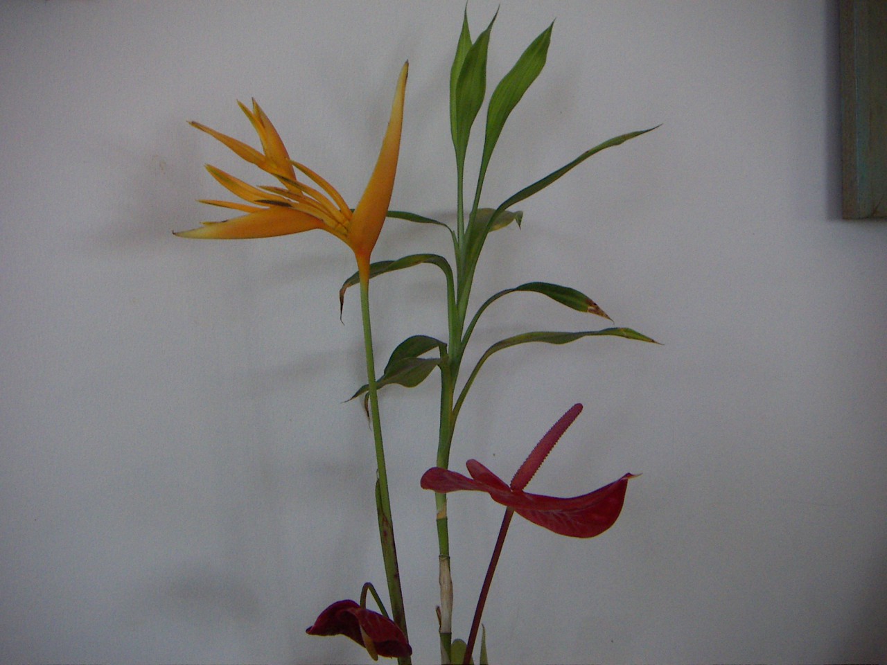 PICT0170.JPG