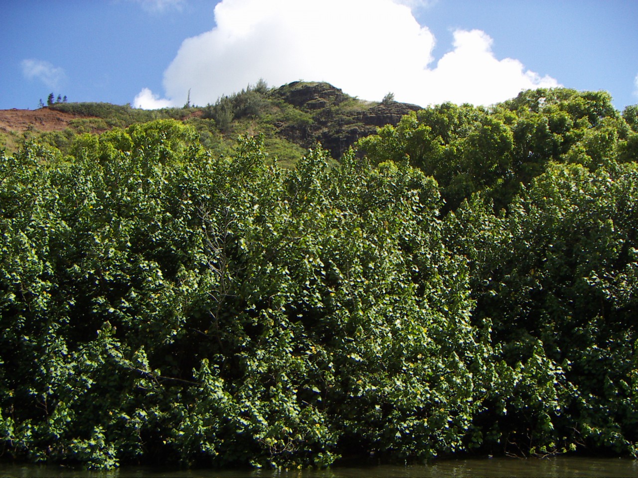 PICT0176.JPG