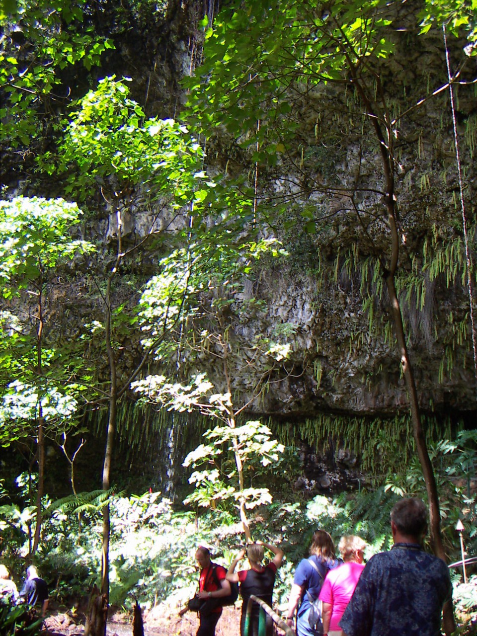 PICT0181.JPG