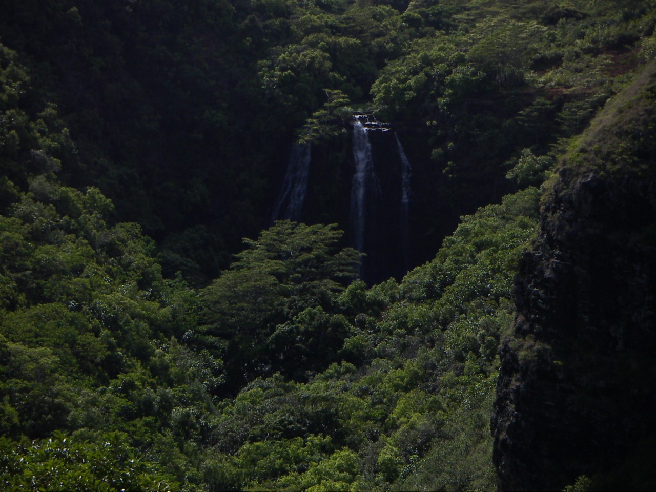 PICT0190.JPG