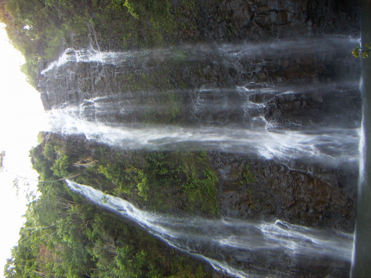 PICT0194.JPG