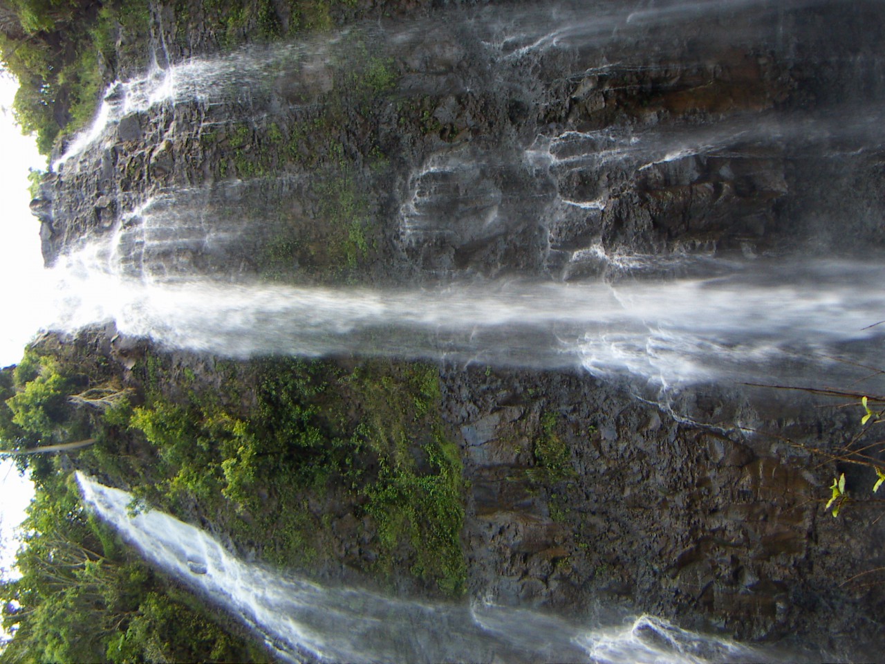 PICT0196.JPG