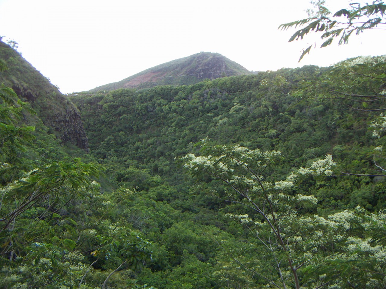 PICT0209.JPG