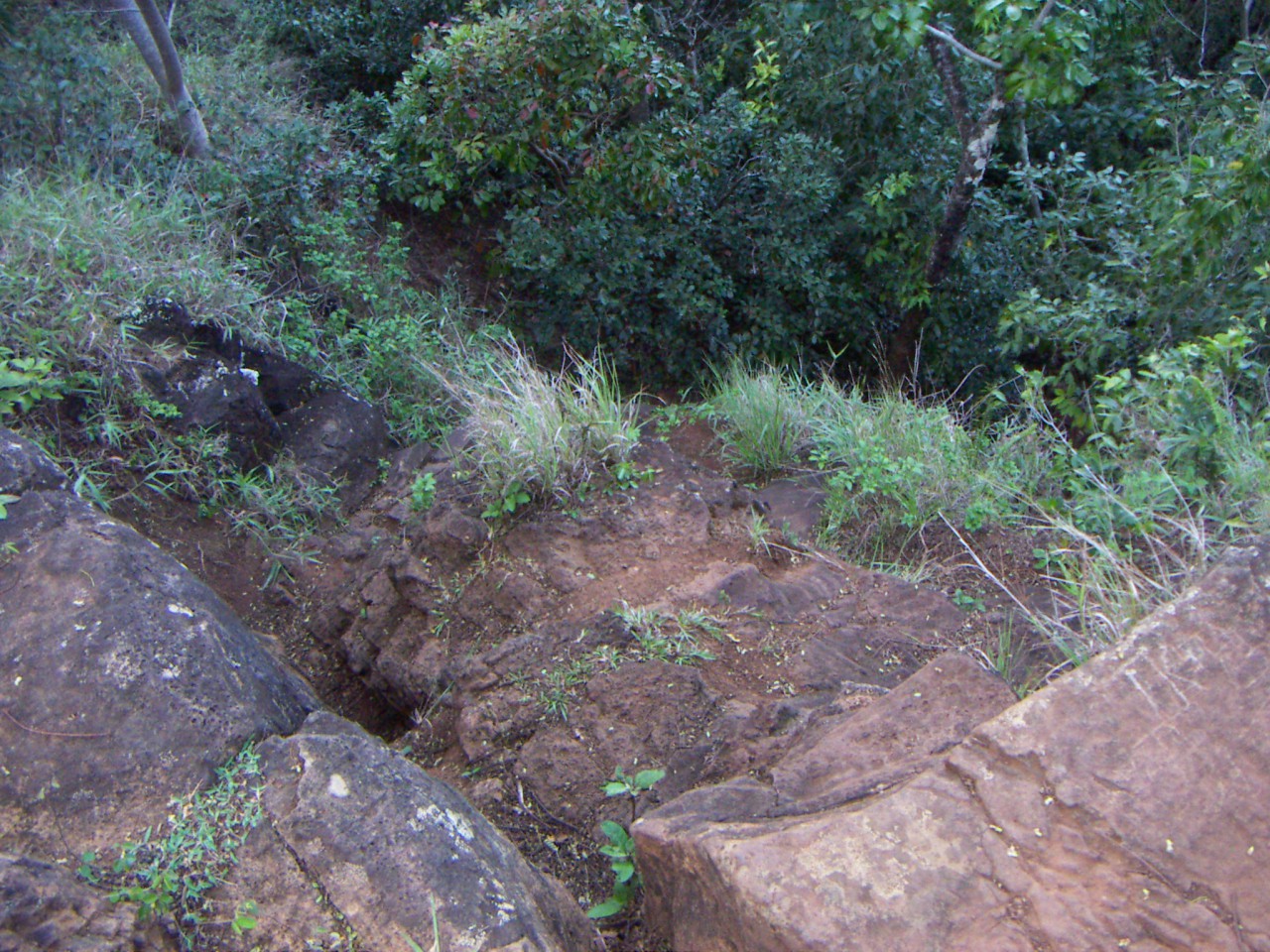 PICT0210.JPG