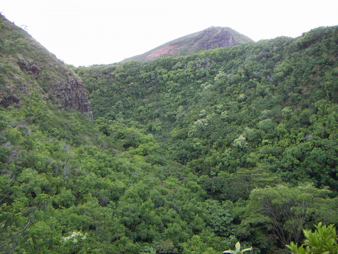 PICT0216.JPG