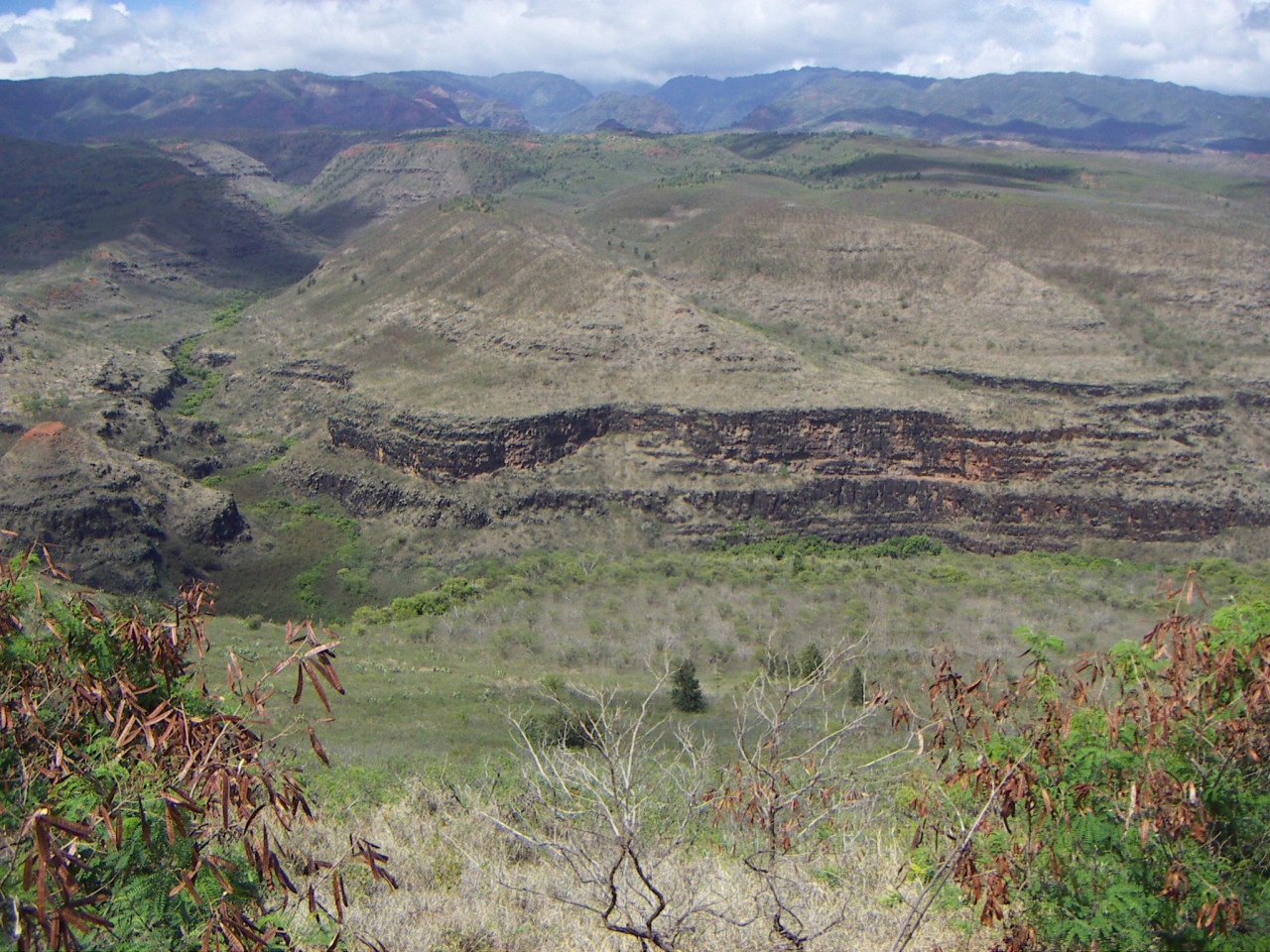 PICT0217.JPG