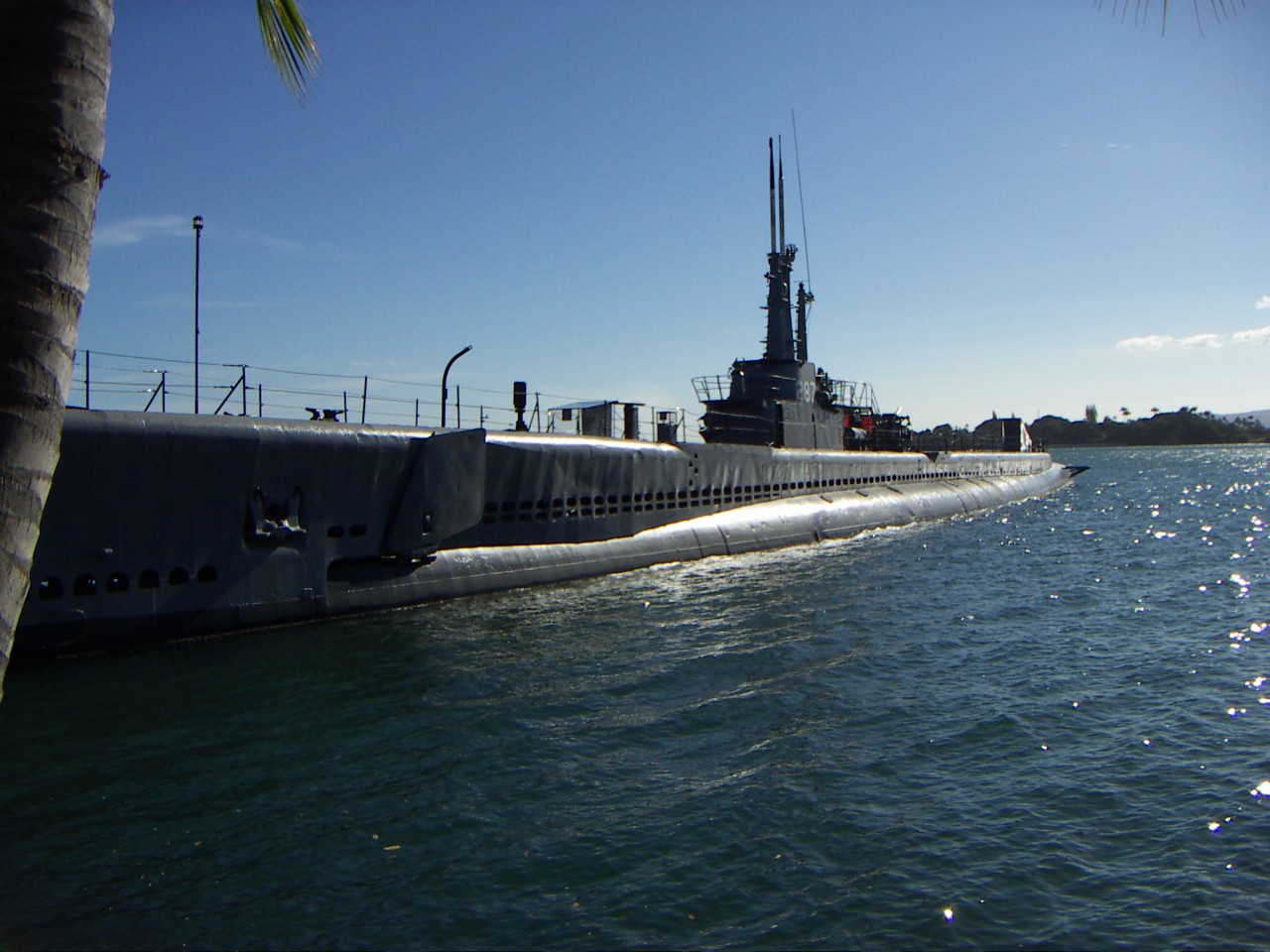 PICT0285.JPG