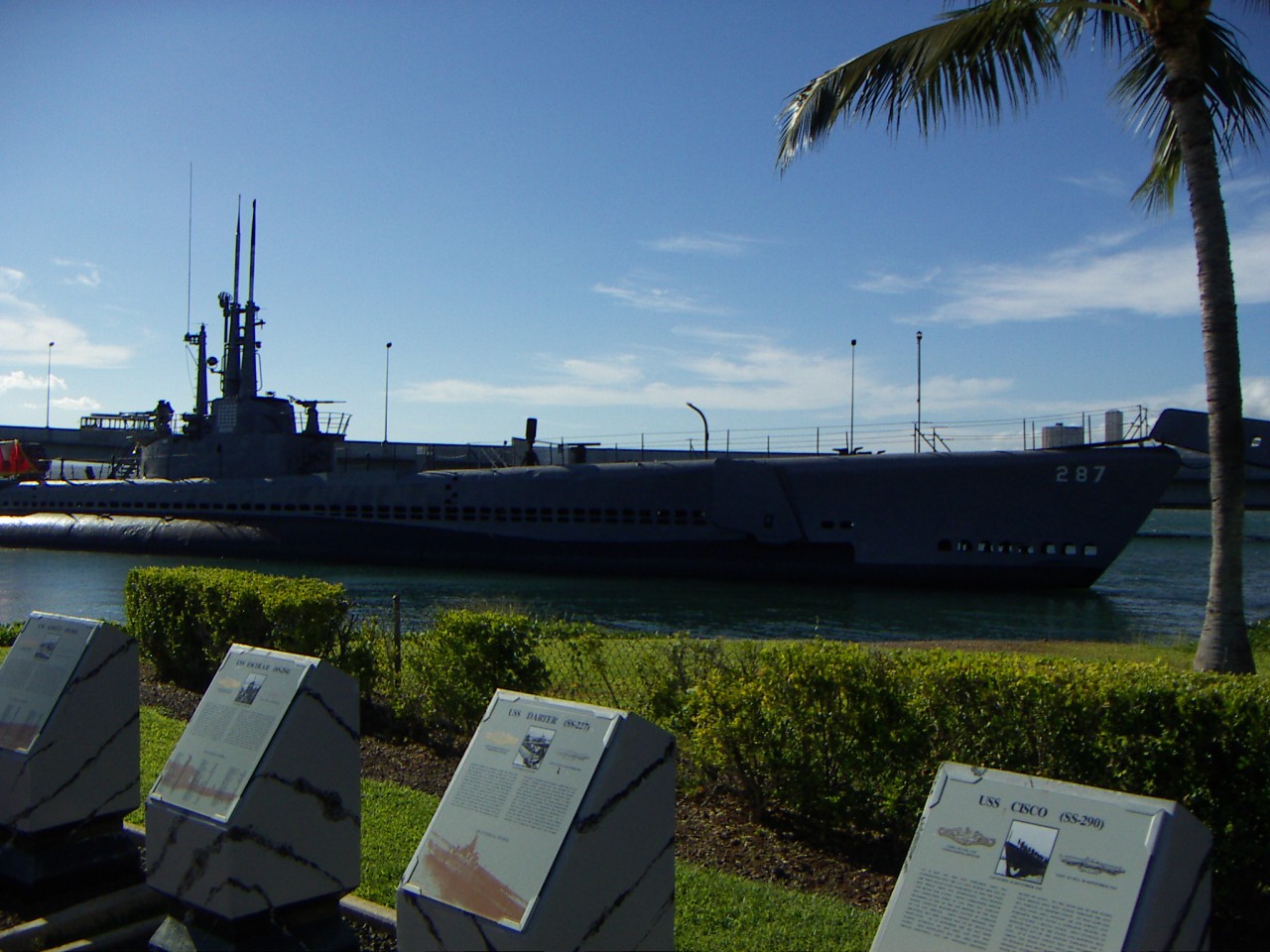 PICT0287.JPG