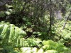 PICT0062.JPG