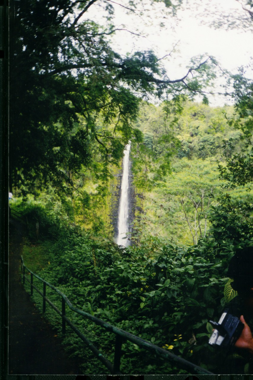 009_09.JPG