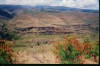 007_07.JPG