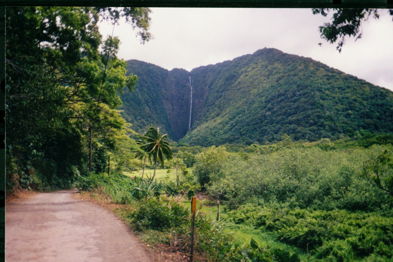 007_07.JPG